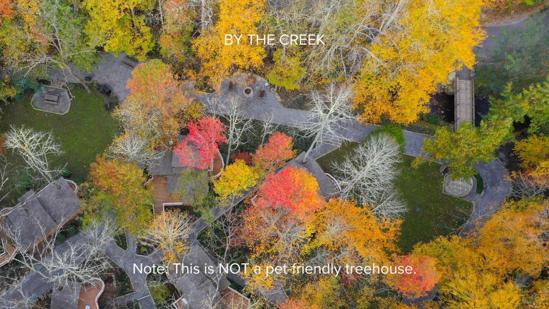 The Dogwood In Treehouse Grove At Norton Creek Villa Gatlinburg Luaran gambar